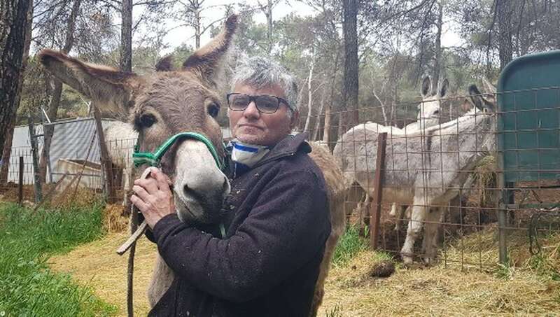 Pascual Rovira, en la finca de Adebo (Foto Web RTVC)